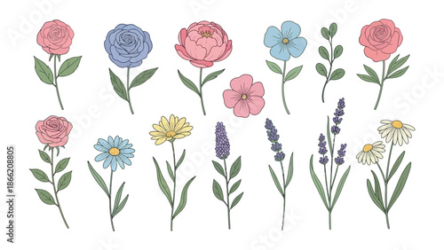 Vibrant Floral Collection: A delightful collection of hand-drawn flowers in a spectrum of colors, including roses, daisies, and lavender, each delicately rendered to showcase its unique form.