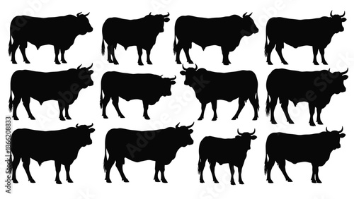 Black bull silhouettes collection showing cattle livestock animals isolated on white background vector illustration farm agriculture design elements set icons