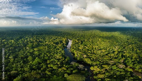 aerial view of amazon forest