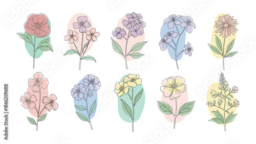 Floral Symphony: A harmonious arrangement of diverse flowers, each meticulously crafted with elegant lines, forming a captivating floral illustration