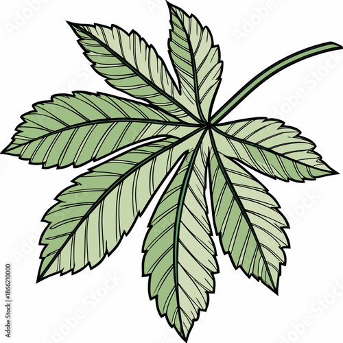 Detailed illustration of a green leaf with multiple leaflets