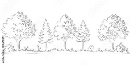 Continuous line drawing illustration of a forest border featuring deciduous and coniferous trees with grass and bushes isolated on a white background for design use.