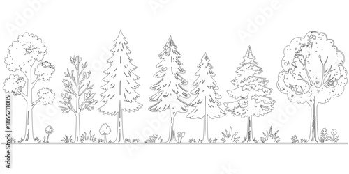 Continuous line drawing of a forest landscape featuring various trees, including pine and deciduous types, standing on a grassy ground, presented as a minimalist black outline vector illustration isol