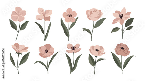 Floral Harmony: A collection of exquisite flowers blooms in delicate pastel hues, offering a soft, serene ambiance and a touch of natural beauty.