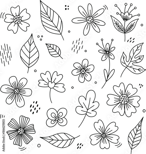 A collection of hand-drawn flower and leaf doodles for design projects
