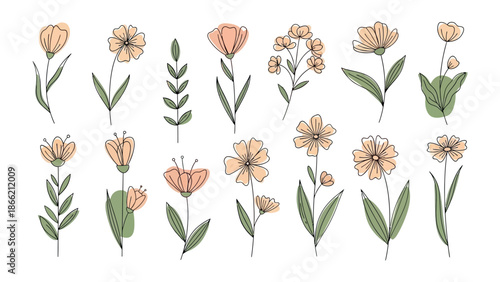 Floral Fantasy: An array of delicate floral designs in pastel hues, showcasing a spectrum of blooming flowers and intricate foliage, perfect for adding a touch of nature's beauty to any project.