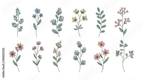 Floral Botanical Illustrations: A collection of meticulously crafted botanical illustrations, each depicting delicate floral sprigs with vibrant petals and lush green leaves.