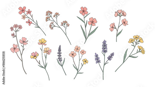 Blooming Floral Collection: A delightful arrangement of delicate wildflowers in various colors, each stem gracefully illustrated with meticulous detail.