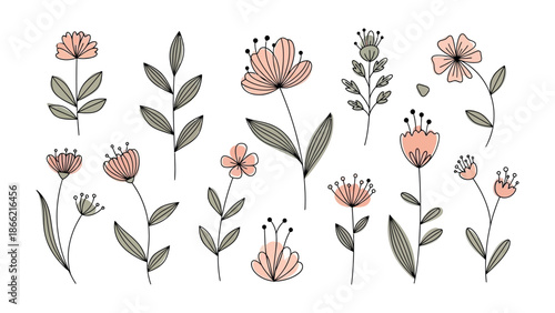 Elegant Floral Collection: An exquisite assortment of delicate flowers and foliage, beautifully illustrated, ready to add a touch of nature's elegance to any creative project.