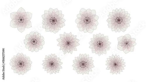 Floral Whisper: An artistic rendering of delicate, petal-laden blooms in soft hues. These blossoms convey a sense of gentle beauty and timeless grace, perfect for evoking a sense of calm and serenity.