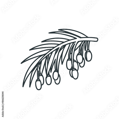 A minimalist illustration of a dates branch with hanging dates on a white background, symbolizing RAMADHAN