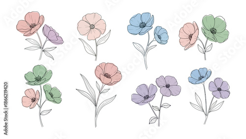 Floral Diversity: A collection of various flower, each delicately illustrated with vibrant colors and elegant details. This illustration highlights the beauty and charm of botanical beauty.