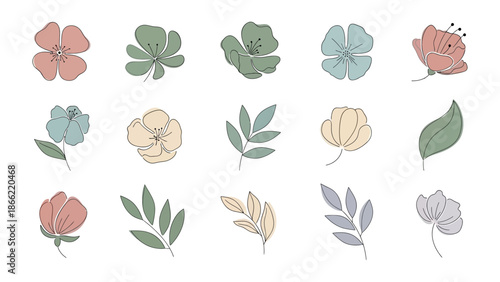Floral Essence Collection: A delicate array of meticulously drawn flower blossoms and leaves, showcasing the beauty and simplicity of botanical artistry.