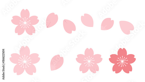 Delicate pink cherry blossoms and petals in elegant floral arrangement