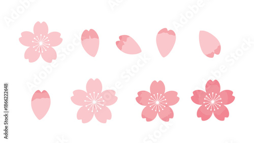 Collection of delicate pink cherry blossom flower icons and petals, symbolizing spring and nature's beauty in a clean graphic style