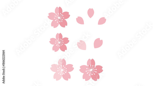 Delicate pink cherry blossom illustrations with individual petals, a graceful vector set capturing the ephemeral beauty of springtime bloom for serene floral design concepts