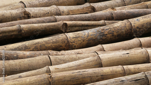 Closeup of stacked dried bamboo shoots