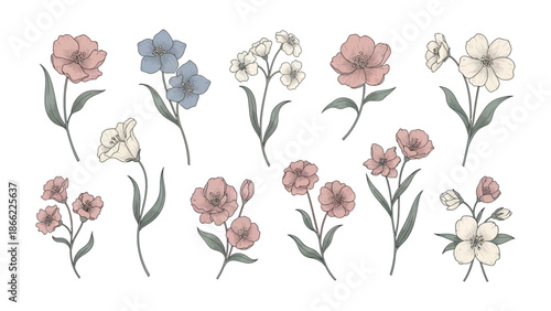 Elegant floral arrangements: Delicate botanical illustrations showcase a variety of beautiful, hand-drawn flowers, perfect for adding a touch of elegance and natural beauty to any creative project.