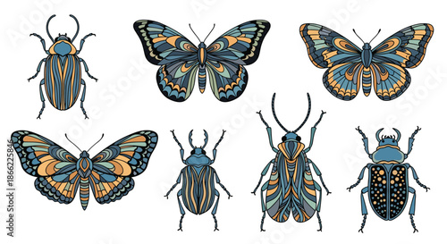 Intricate illustrations of colorful beetles and butterflies with decorative patterns provide a beautiful set of natural graphic elements.