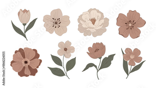 Floral Collection: A captivating arrangement of eight delicate, stylized flowers in various shapes, petals, and hues. It's a symphony of floral charm.