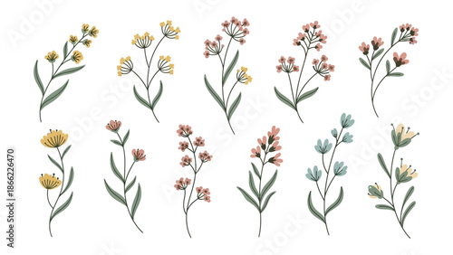 Delicate Floral Symphony: An artistic collection of exquisite botanical illustrations featuring an array of wildflowers in full bloom. Each flower, with its unique hue and delicate petals.