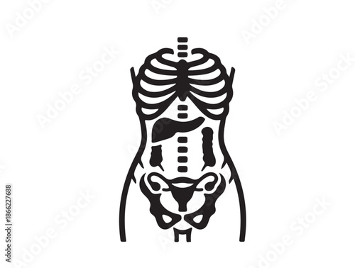 Female mid-body anatomy illustration, tasteful and professional icon white background
