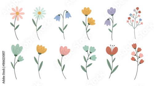 Blooming Serenity: A delicate collection of vibrant flowers, showcasing an array of colors and shapes, each petal a testament to nature's artistry.