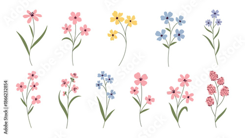 Floral Fantasia: A collection of exquisite, detailed floral illustrations, showcasing a vibrant array of flower species in full bloom.