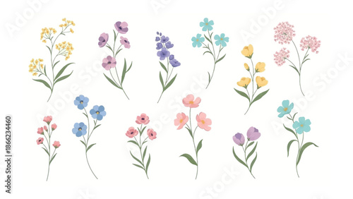 Floral Fantasy: A whimsical array of delicate, colorful blooms, each with its unique charm and character, gracefully arranged to bring joy and beauty.