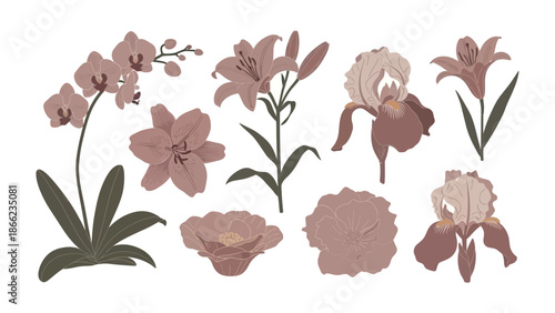 Floral Elegance: A curated selection of delicate blooms and graceful flora are presented against a simple backdrop.