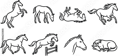 Eight different horse poses and movements in simple line drawings