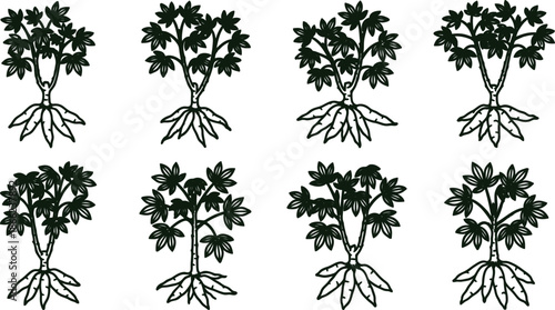 set of green plants with roots and leaves on white background