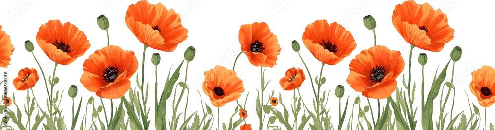 Obraz premium orange flowers in the grass