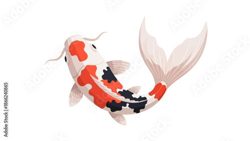 Colorful Koi Fish Swimming Isolated on White Background