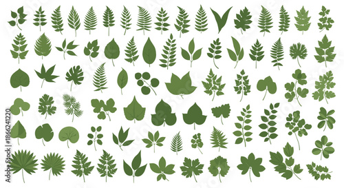 Massive grid of diverse green leaf silhouettes and botanical shapes ranging from ferns to broad leaves for environmental design.