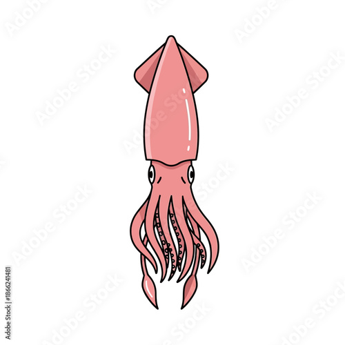 Cute Pink Squid Illustration, Marine Life, Ocean Creature, Underwater Animal