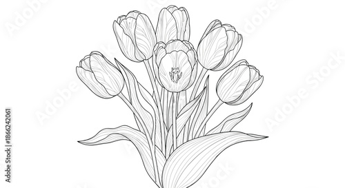 Detailed black and white line drawing of a beautiful tulip bouquet with elegant petals and broad leaves for botanical sketches.