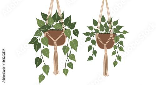 Two different types of green leafy plants in brown pots suspended by macrame hangers against a simple white background for interior decor.