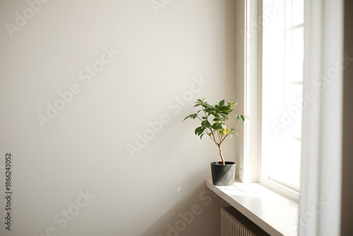 Editorial photograph of a minimalist interior corner