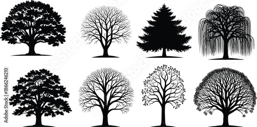 Set of black tree silhouettes, various types including oak, pine, willow, and leafless winter trees, isolated vector illustration.