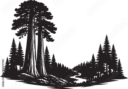 Sequoia National Park Landscape Silhouette Black and White Vector Illustration
