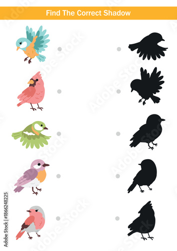Educational find the correct shadow activity with colourful birds and matching black silhouettes. Fun holiday worksheet for kids, preschool learning and printable materials.