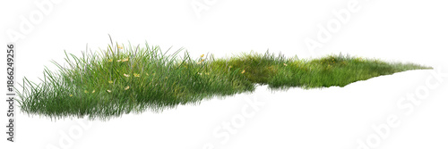 grass isolated on white background/Long strip of wild green grass with small yellow flowers isolated on a white background, symbolizing natural meadow and fresh growth.