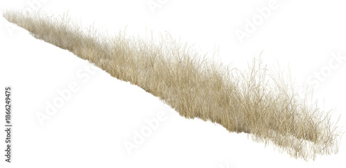 Fotografie feather grass isolated on white/Natural dry wild grass border isolated on a white background, showcasing organic texture and minimalist countryside nature