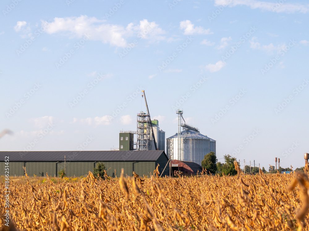 Fototapeta premium Harvesting season with silos and fields of crops visible
