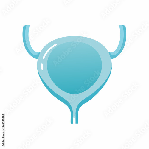 Flat Design Urinary Bladder Silhouette Icon