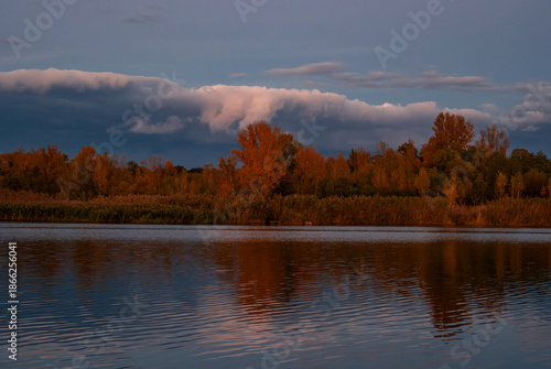 Golden forest reflection on rippling water at quiet dusk