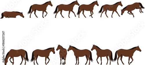 Brown horse character collection featuring flat vector designs of horses in various poses including walking running jumping grazing and lying down for.