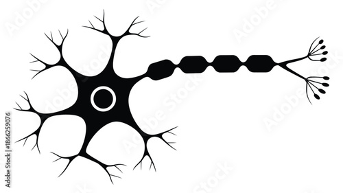 Neuron icon on white background featuring human neuron cell sign, brain neuron symbol, and flat style vector illustration,