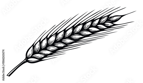Elegant black and white wheat ear graphic symbolizing agriculture harvest and wholesome food products perfect for bakery branding food packaging beer labels or farming industry logos